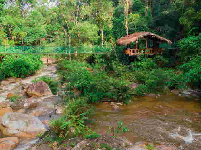 Jelajah Eko: 5 Destinasi Alam Semula Jadi Yang Wajib Dikunjungi Cuti Ini!