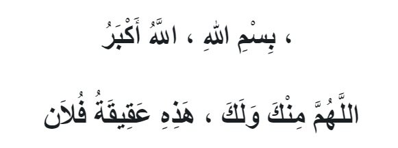 Aqiqah Untuk Anak Perempuan: Panduan Lengkap Berserta Niat & Caranya