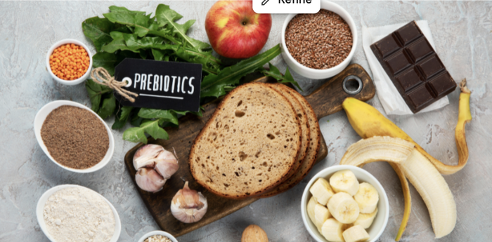 Probiotik, Prebiotik Dalam Pemakanan Si Manja: Penting untuk Kesihatan Usus & Kuatkan Imuniti