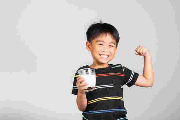 Probiotik, Prebiotik Dalam Pemakanan Si Manja: Penting untuk Kesihatan Usus & Kuatkan Imuniti