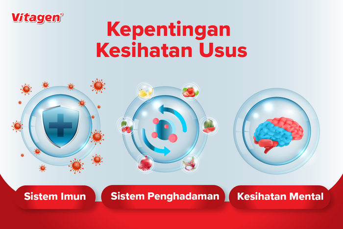 Nak Badan Sihat dan Kesejahteraan Mental? Segalanya Bermula dengan Usus Yang Sihat!