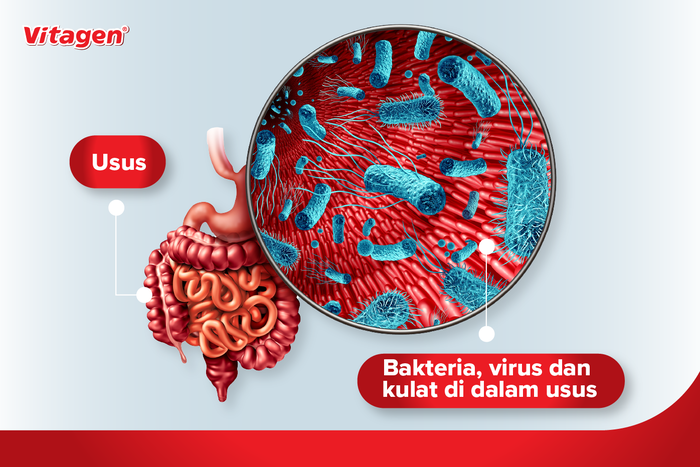 Nak Badan Sihat dan Kesejahteraan Mental? Segalanya Bermula dengan Usus Yang Sihat!